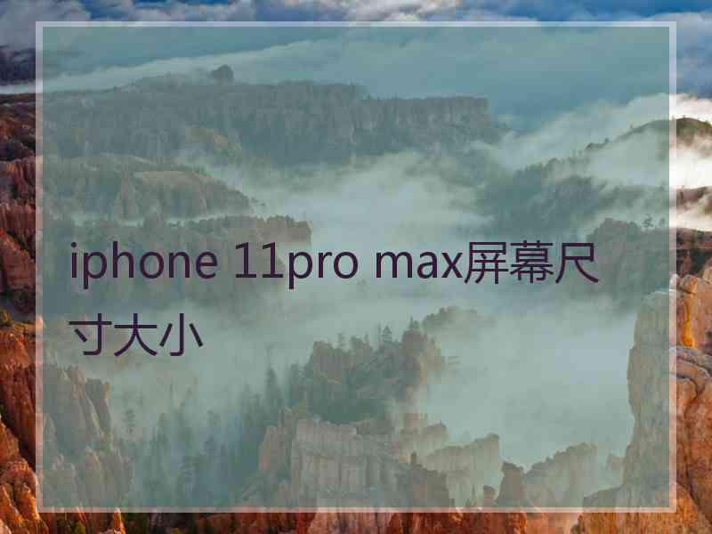 iphone 11pro max屏幕尺寸大小