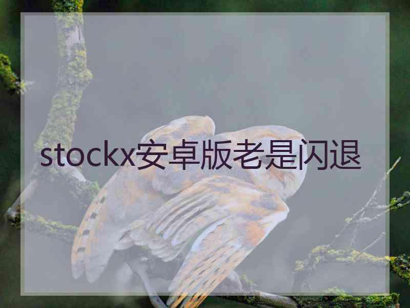 stockx安卓版老是闪退