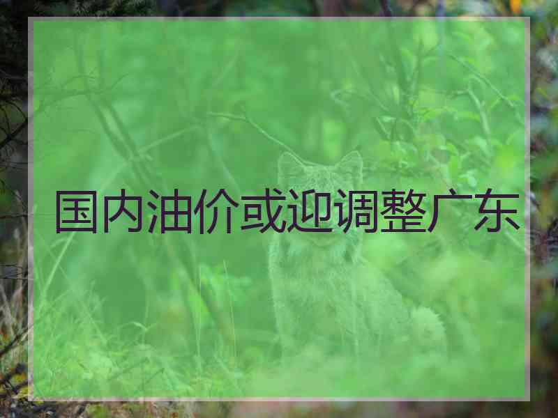 国内油价或迎调整广东