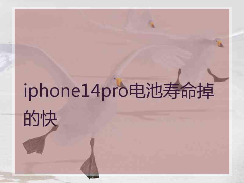 iphone14pro电池寿命掉的快