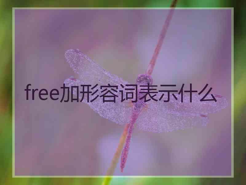 free加形容词表示什么