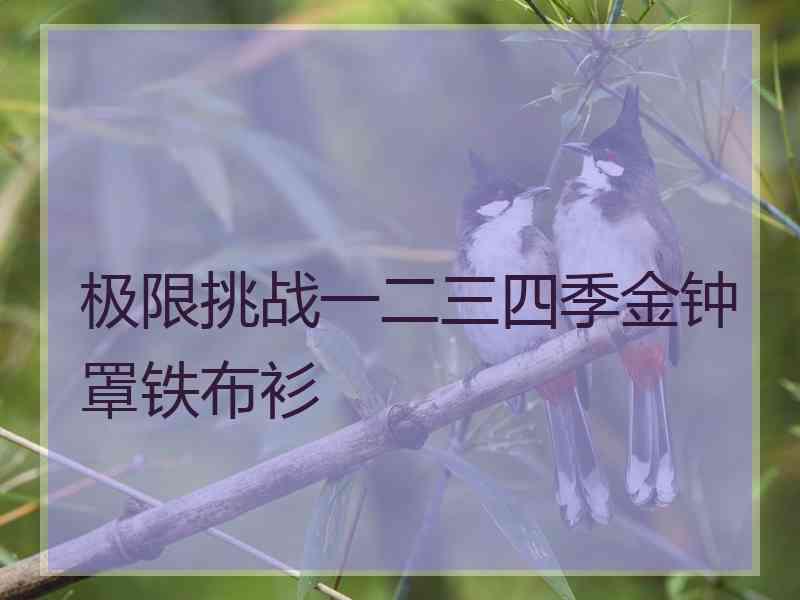 极限挑战一二三四季金钟罩铁布衫