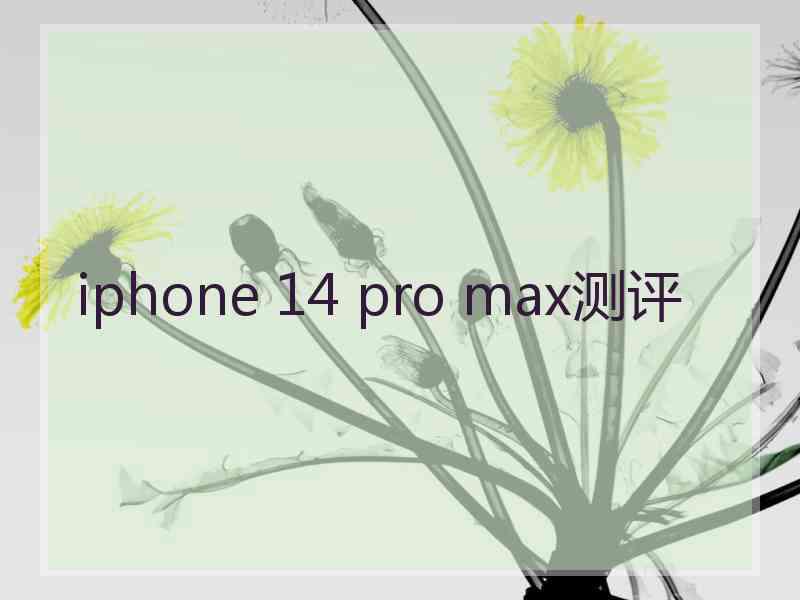 iphone 14 pro max测评