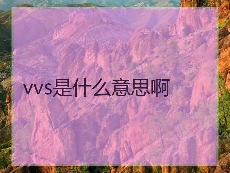 vvs是什么意思啊