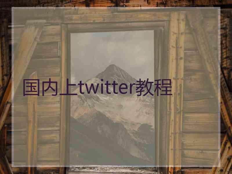 国内上twitter教程