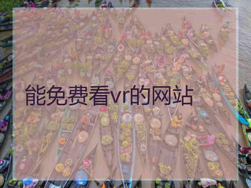 能免费看vr的网站