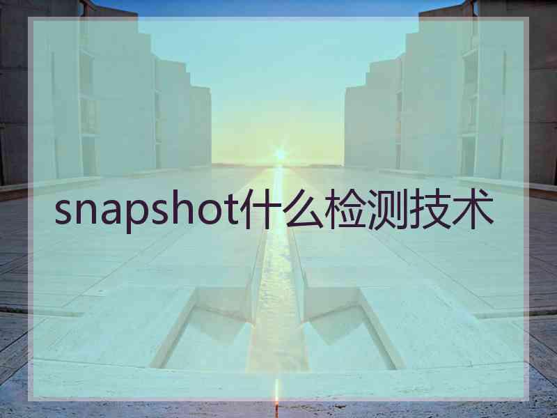 snapshot什么检测技术