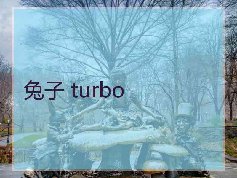 兔子 turbo