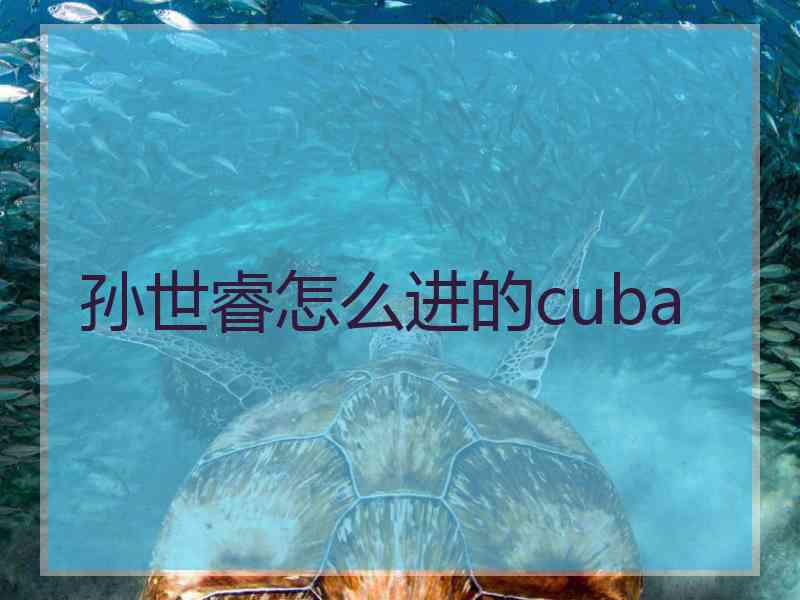 孙世睿怎么进的cuba