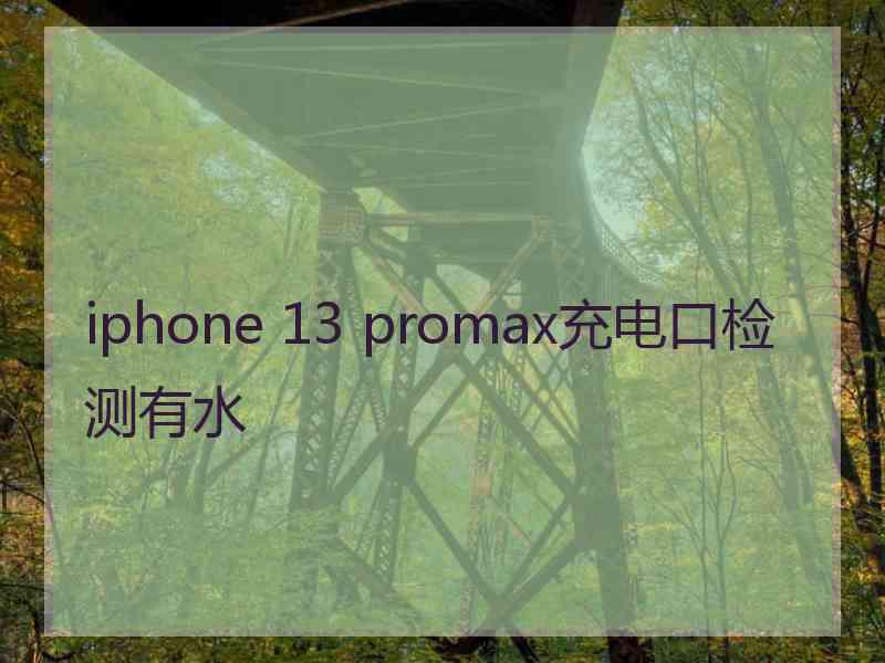 iphone 13 promax充电口检测有水