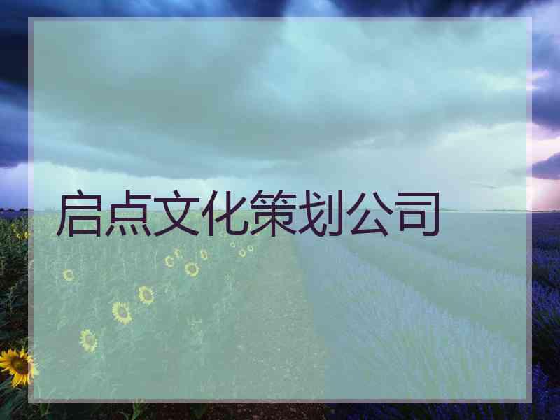 启点文化策划公司