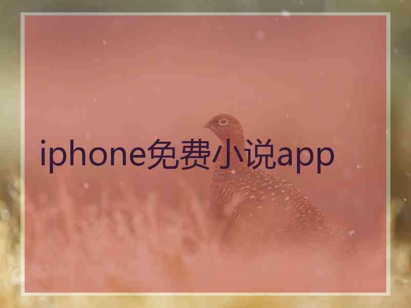 iphone免费小说app