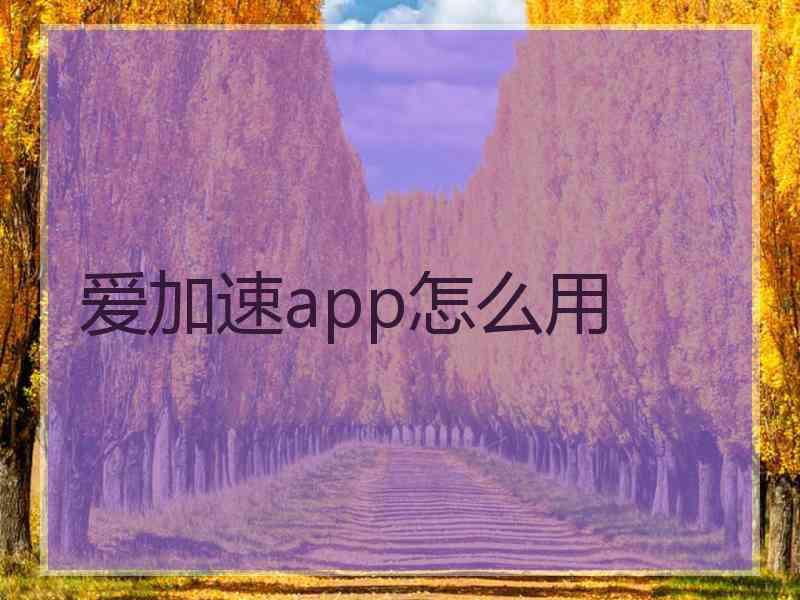 爱加速app怎么用