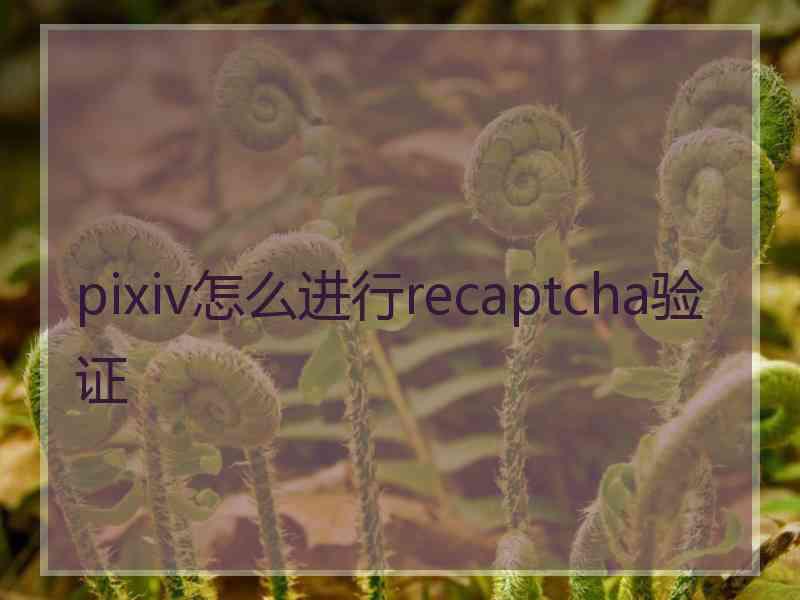 pixiv怎么进行recaptcha验证