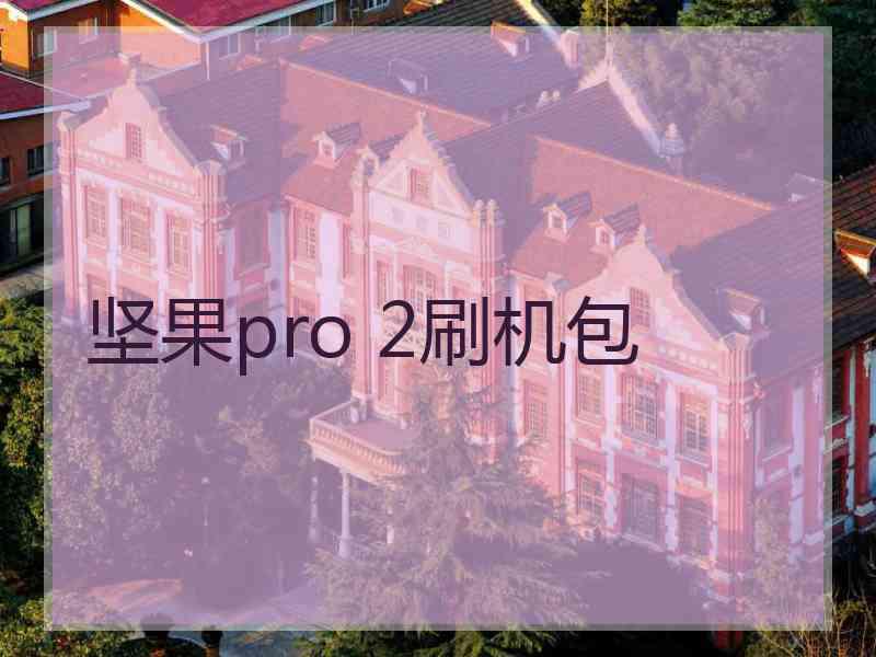 坚果pro 2刷机包