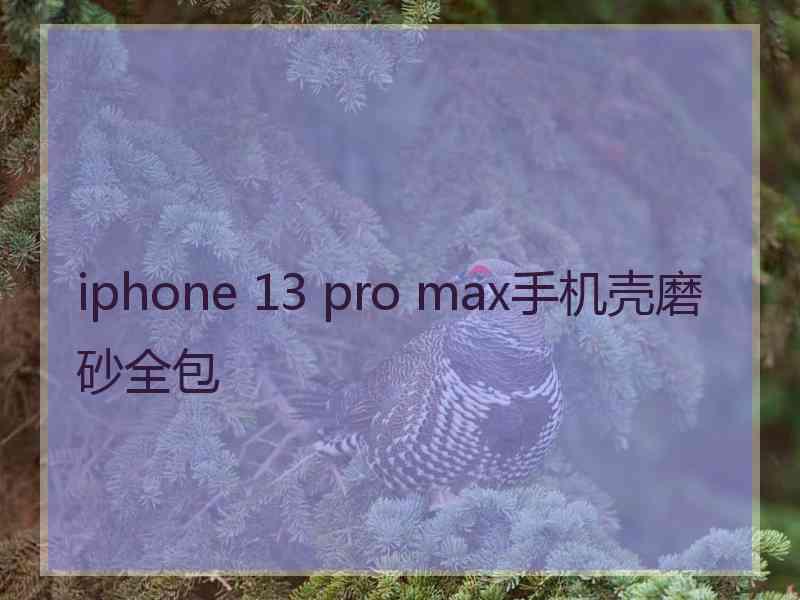 iphone 13 pro max手机壳磨砂全包