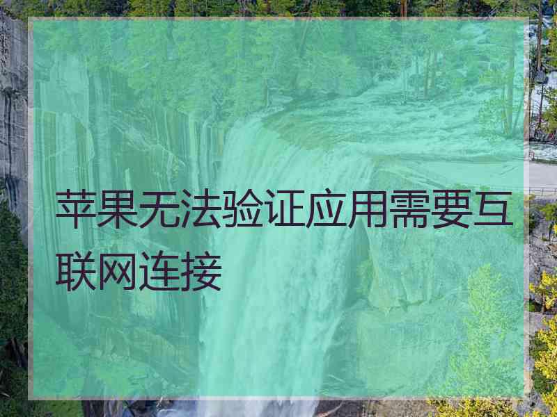 苹果无法验证应用需要互联网连接