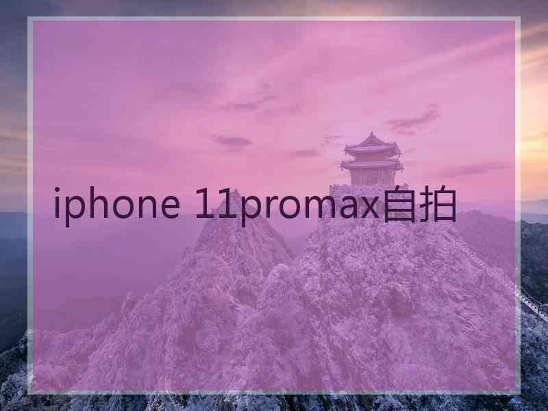 iphone 11promax自拍