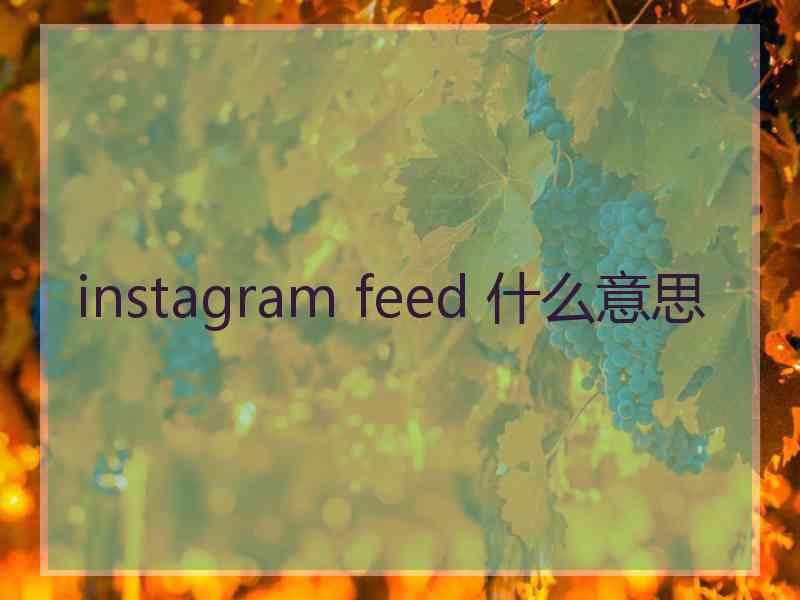 instagram feed 什么意思