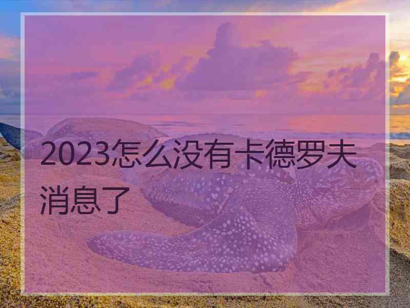 2023怎么没有卡德罗夫消息了