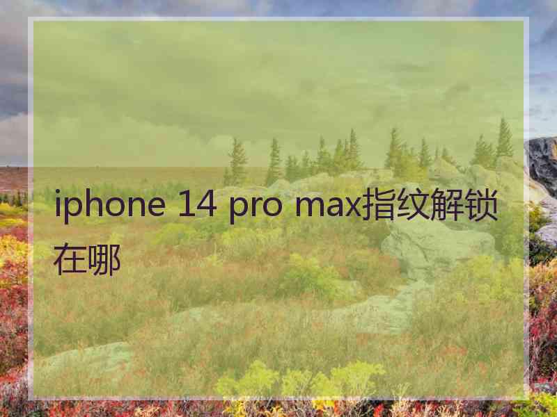 iphone 14 pro max指纹解锁在哪