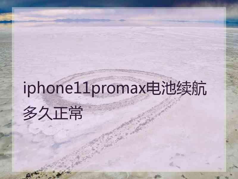 iphone11promax电池续航多久正常