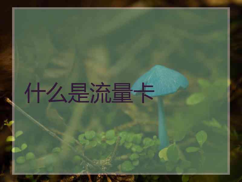 什么是流量卡