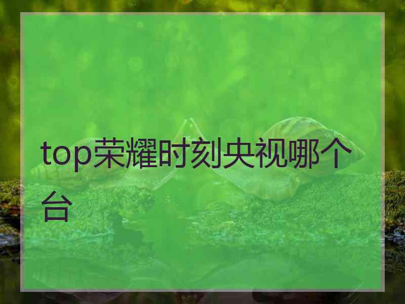 top荣耀时刻央视哪个台