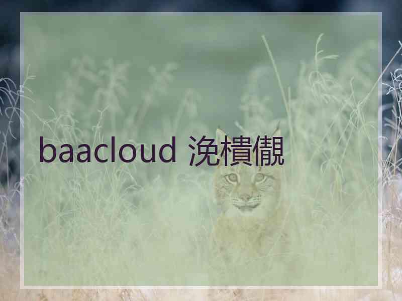 baacloud 浼樻儬