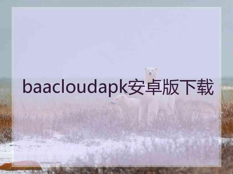 baacloudapk安卓版下载