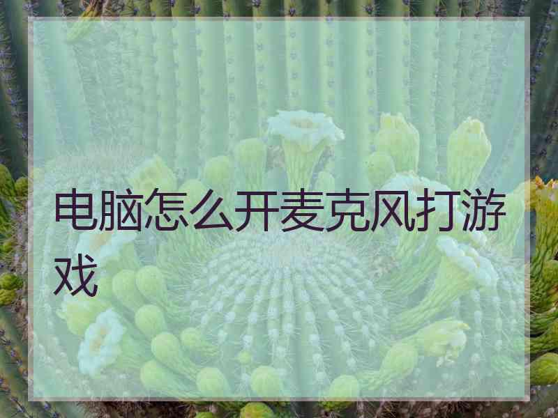 电脑怎么开麦克风打游戏