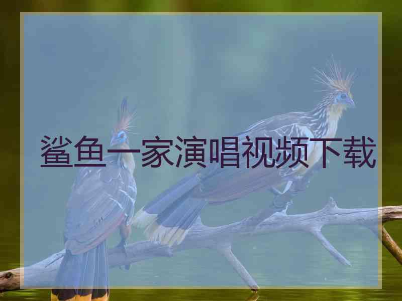 鲨鱼一家演唱视频下载