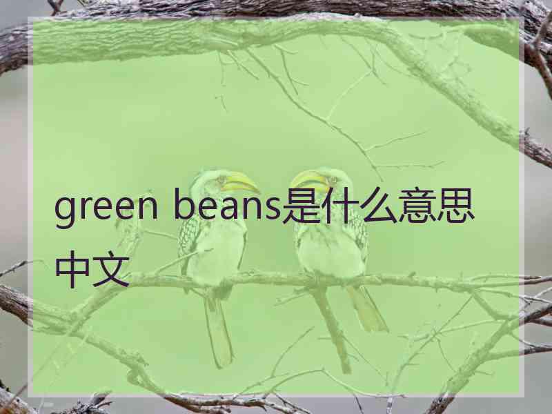 green beans是什么意思中文