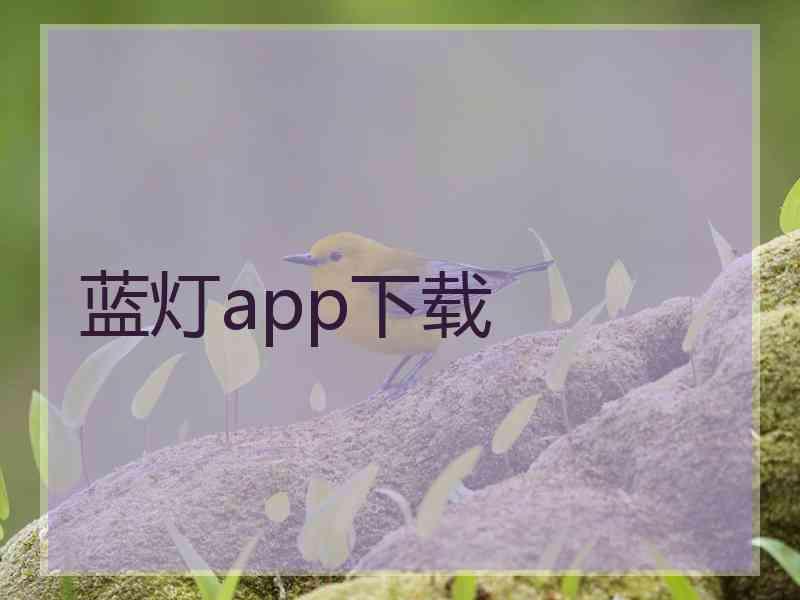 蓝灯app下载