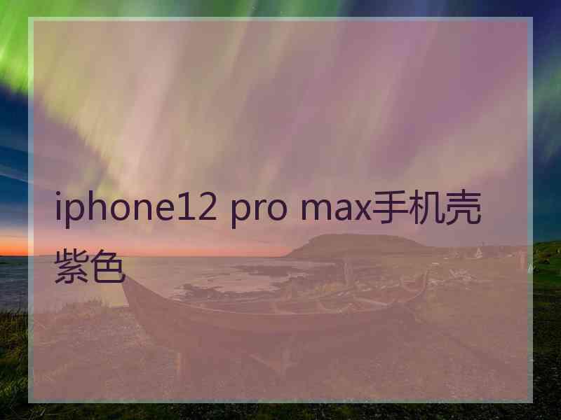 iphone12 pro max手机壳紫色