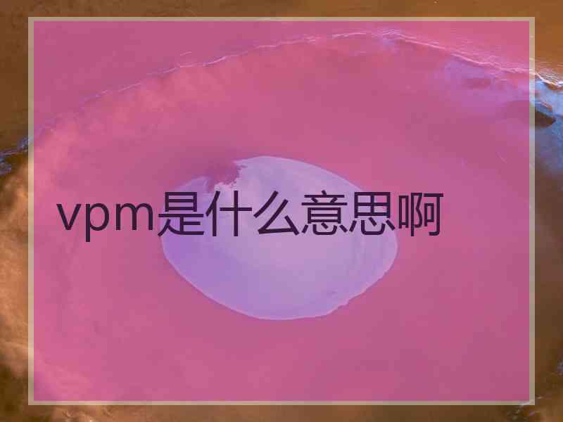 vpm是什么意思啊