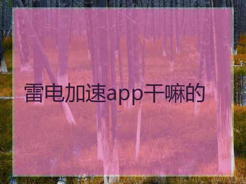 雷电加速app干嘛的