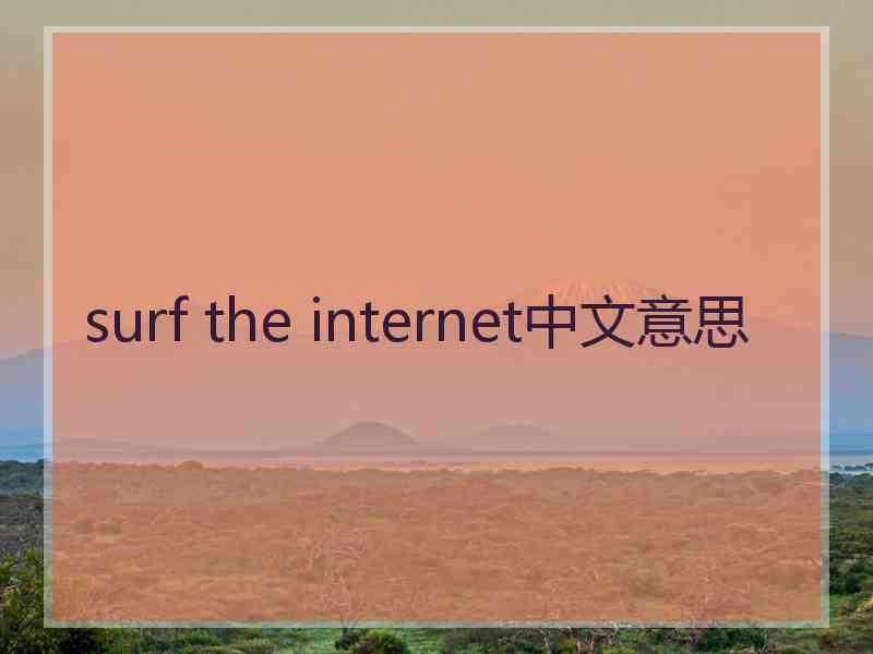 surf the internet中文意思