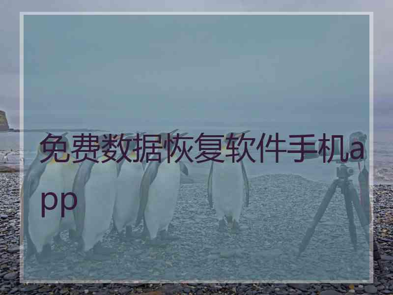 免费数据恢复软件手机app