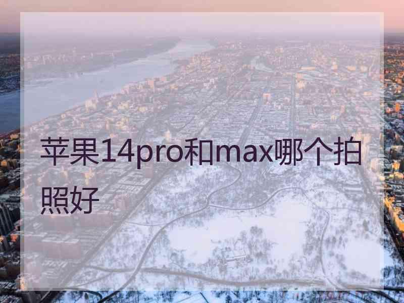 苹果14pro和max哪个拍照好