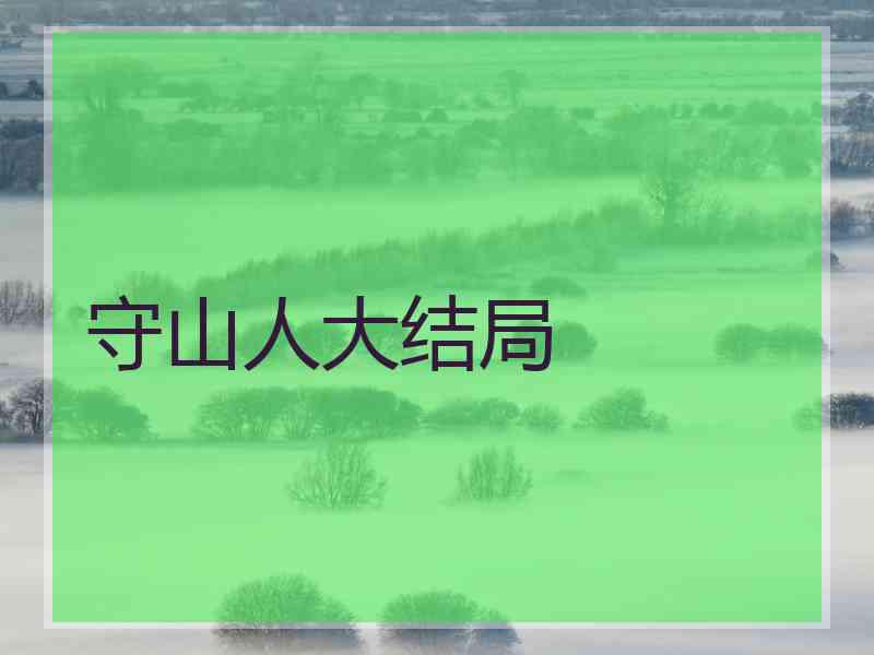 守山人大结局