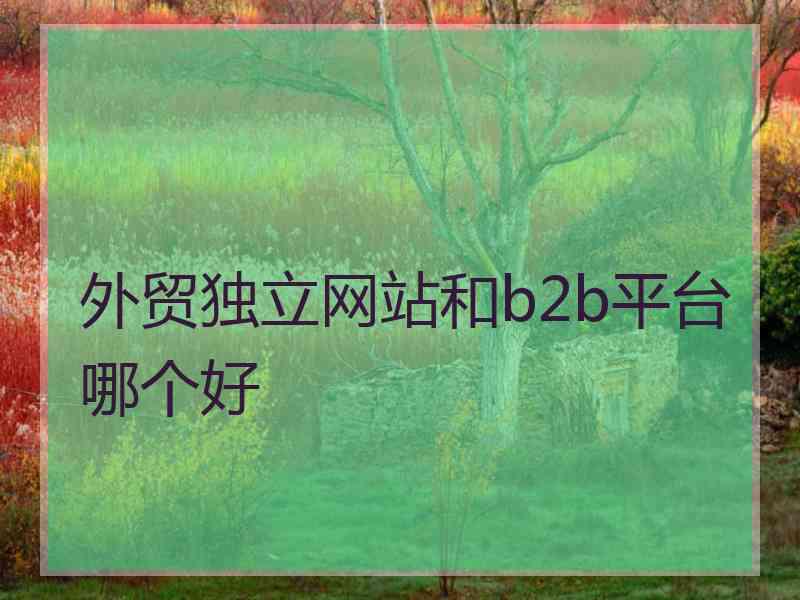 外贸独立网站和b2b平台哪个好