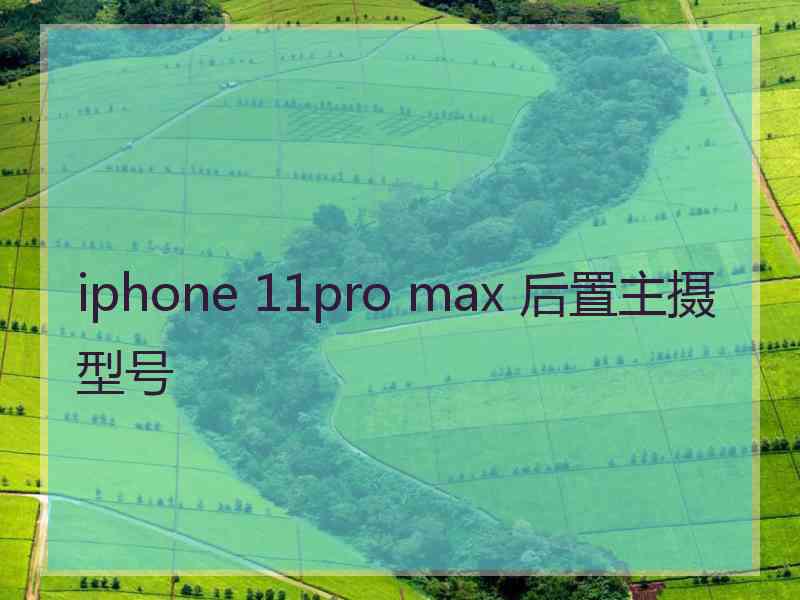 iphone 11pro max 后置主摄型号