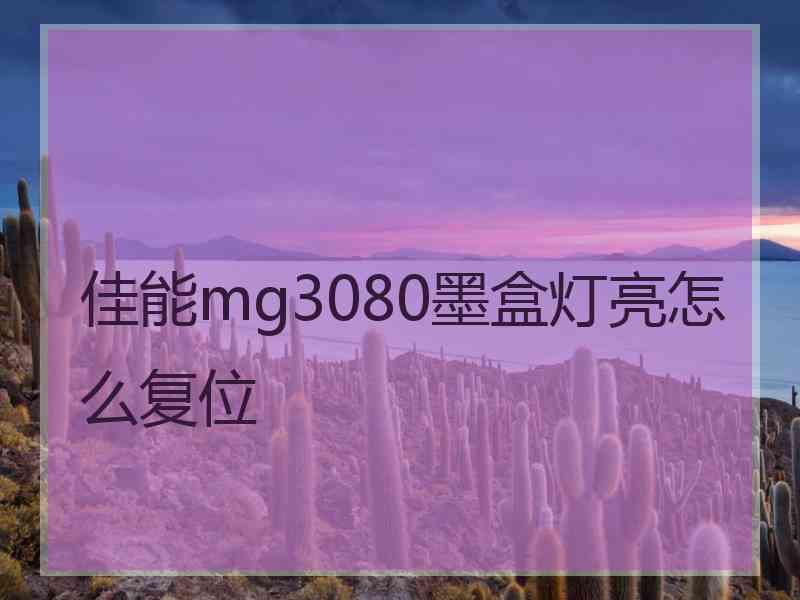 佳能mg3080墨盒灯亮怎么复位