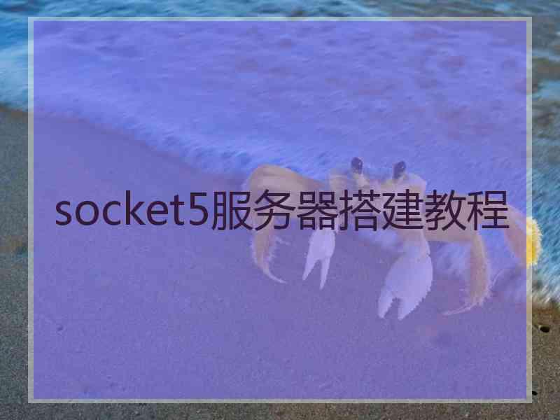 socket5服务器搭建教程