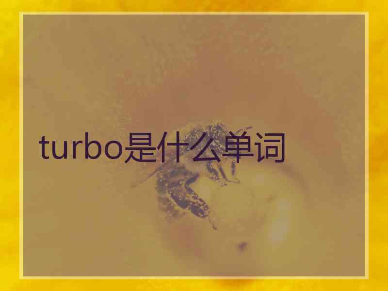 turbo是什么单词