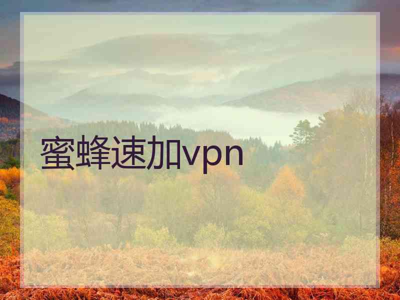 蜜蜂速加vpn