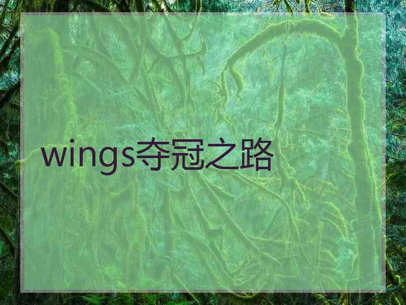 wings夺冠之路