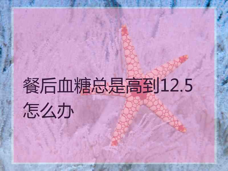 餐后血糖总是高到12.5怎么办