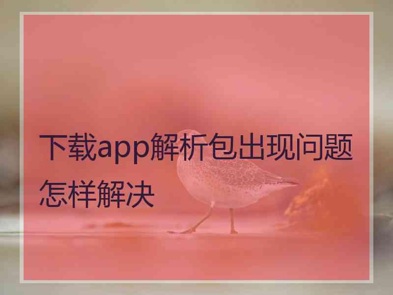 下载app解析包出现问题怎样解决